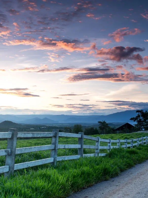 Farm with a white painted fench, against a sunrise with blue, purple and pink sky