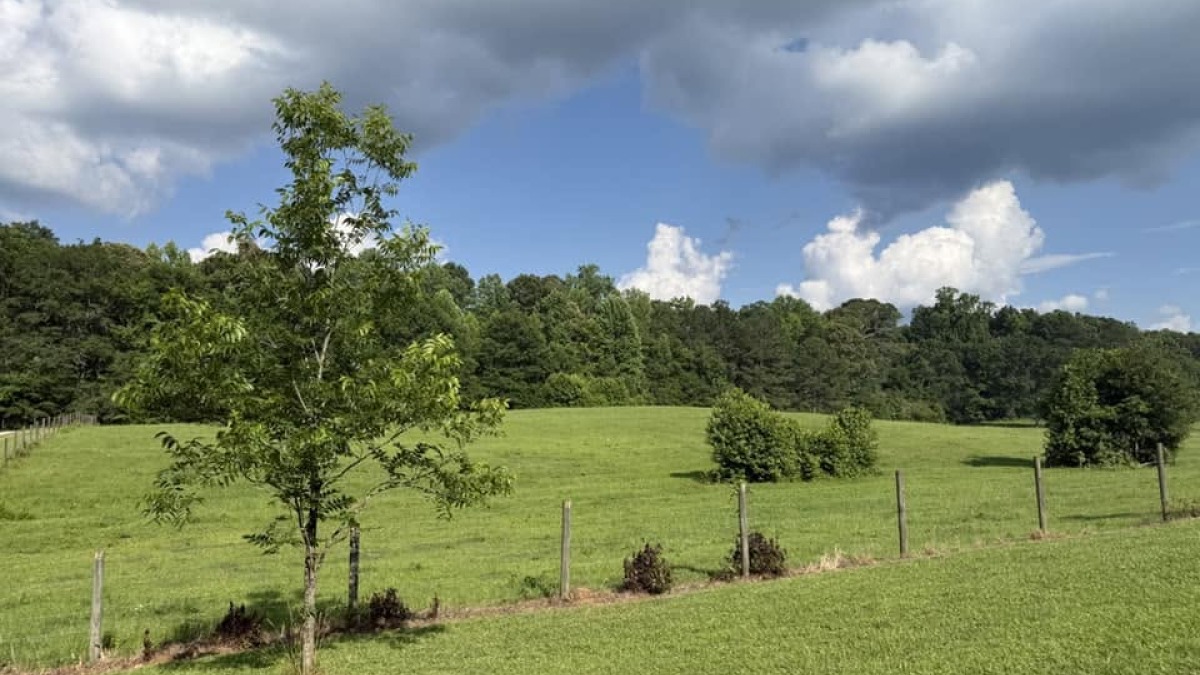 Front view of Pasture