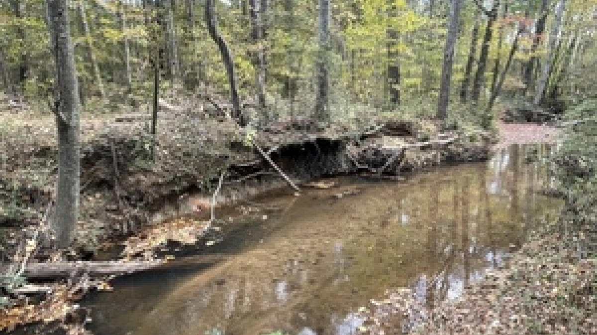 View of Creek