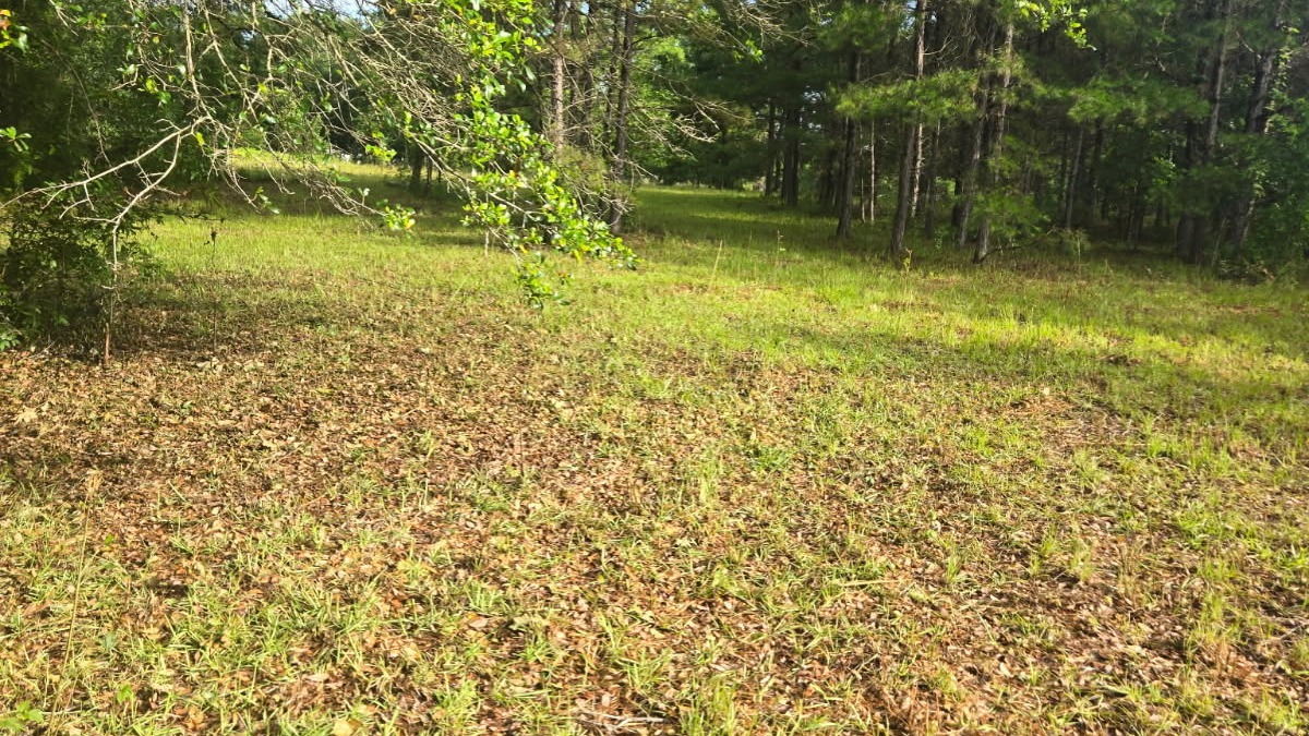 Clear producible and vital area for growth. Ready for renting.