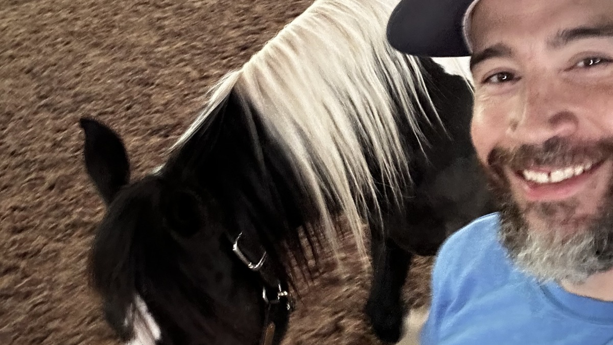Getting horses ready for Equine Assisted Therapy