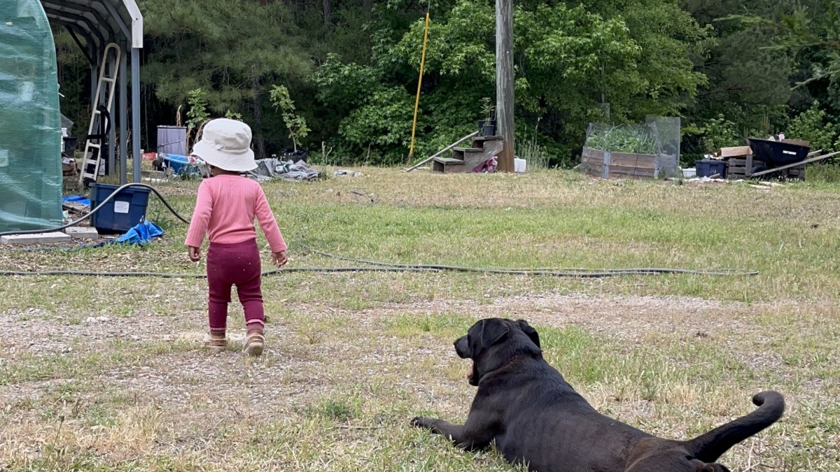 Small child and black dog with grassy background
