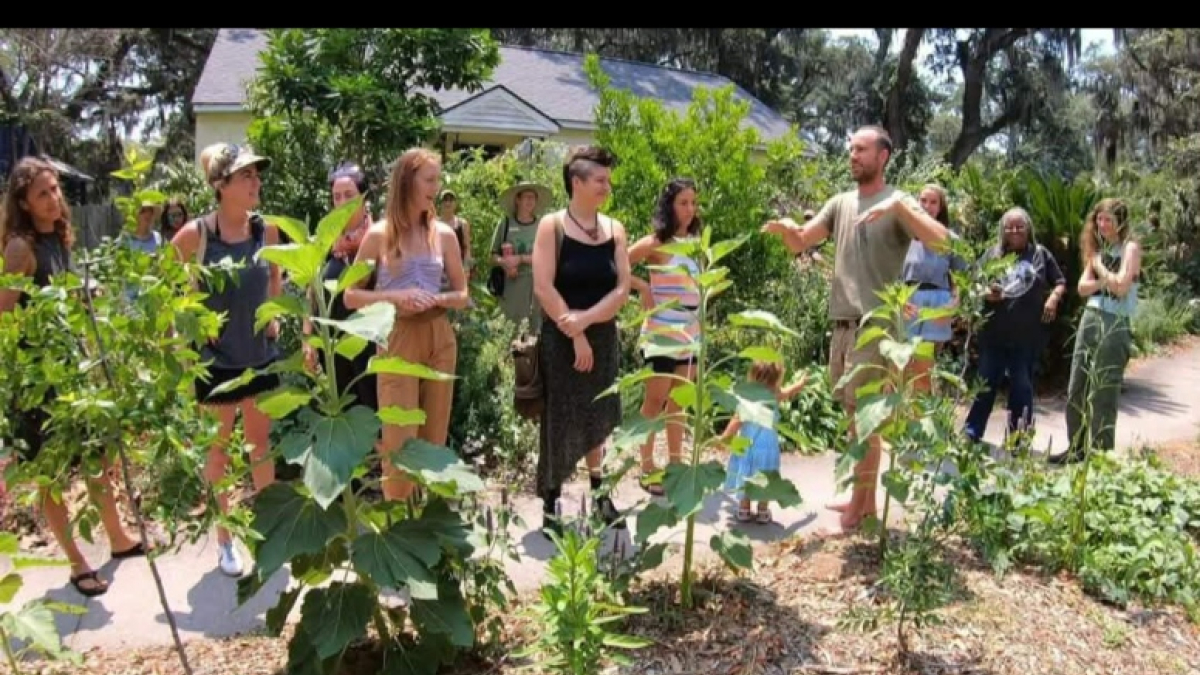Food Forest tour during the Savannah Harvest Festival at the PawPaw Patch