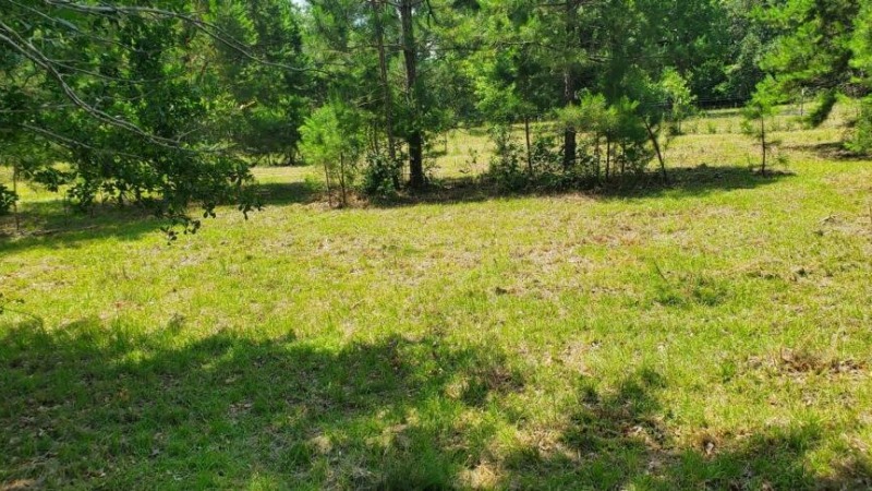 Clear producible and vital area for growth. Ready for renting.