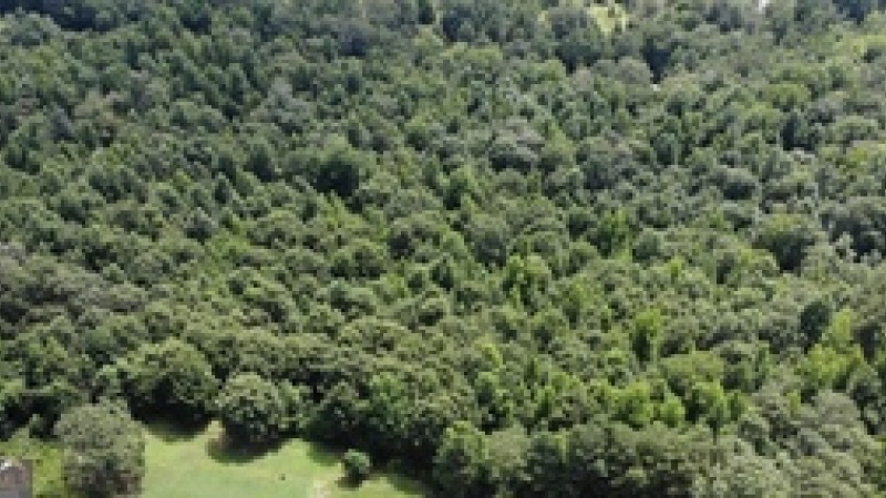 Aerial View of Parcel