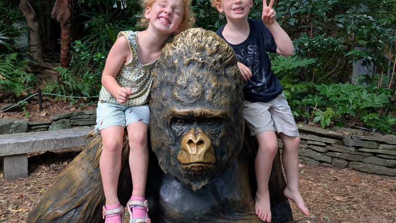 My kids at the zoo