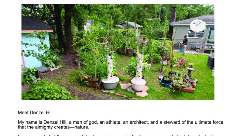 A harvest of figs, tower garden growth, and a permaculture backyard