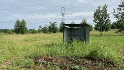 grow plants using permaculture method