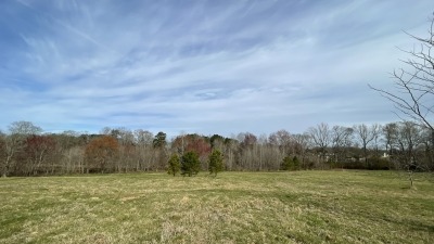 Field View