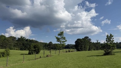View from Tack Room 