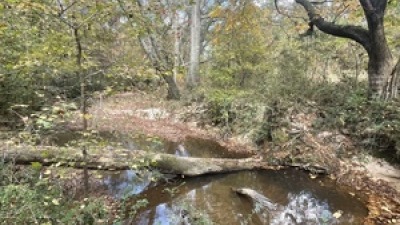 Additional View of Creek