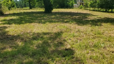 Clear producible and vital area for growth. Ready for renting.