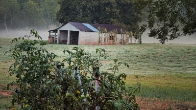 Barn