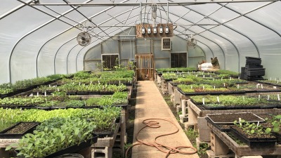 green house