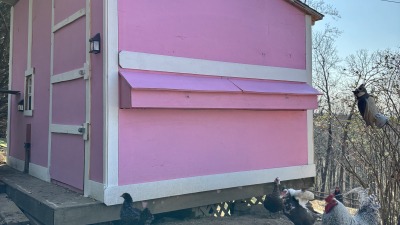 pink chicken coop