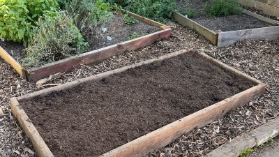 raised beds