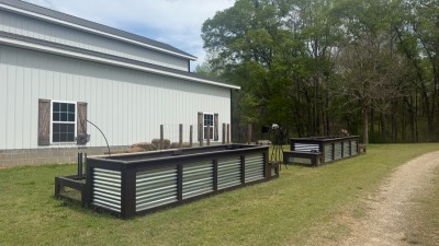 Garden boxes and trellis 