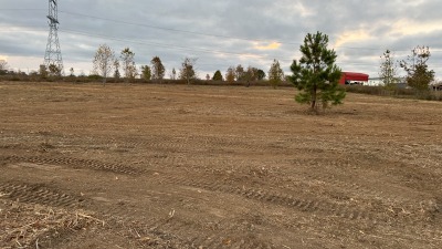 Cleared land 