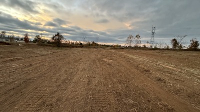 Cleared land 