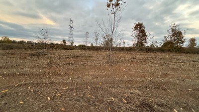 Cleared land 
