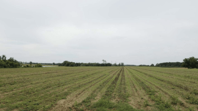Cultivated Land
