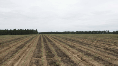 Cultivated Land