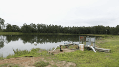 Irrigation Pond