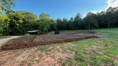 Vegetable Rows