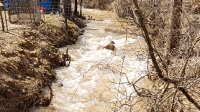 stream  seen by chicken coop - extends full length of our property