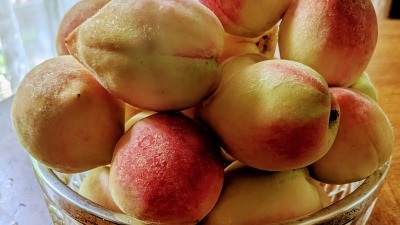 GA Peaches