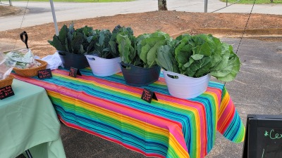 Farmers market 2