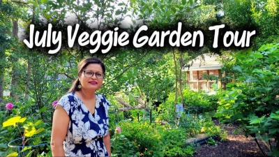 A few pics of me in my home garden which I am looking to expand