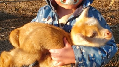 My son with his baby goat