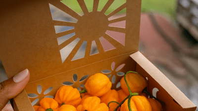 Picture of scotch Bonnets