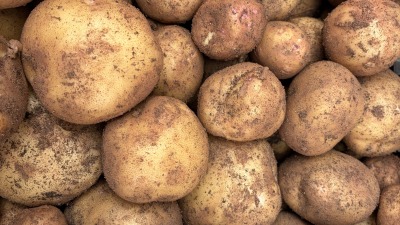 Potatoes 