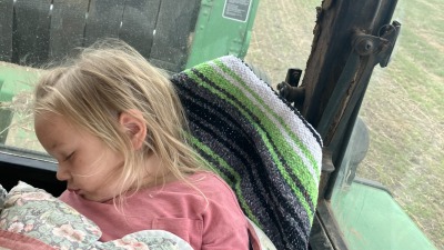 Roan asleep baling
