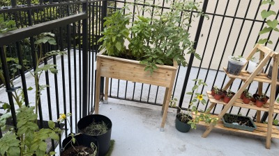 Apartment garden setup