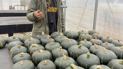 Squash
