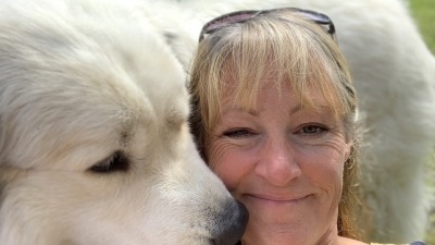 This is George, my Great Pyrenees