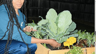 some of my collards and french marigolds.