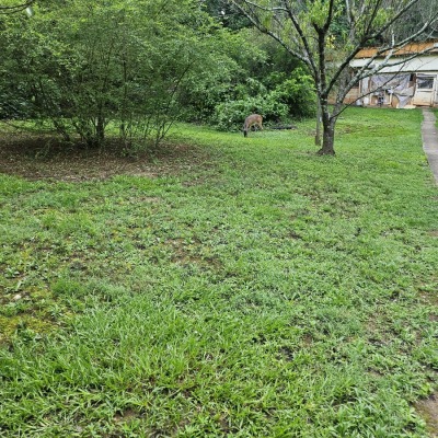 Flat land