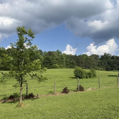 Front view of Pasture