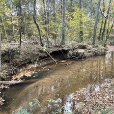 View of Creek