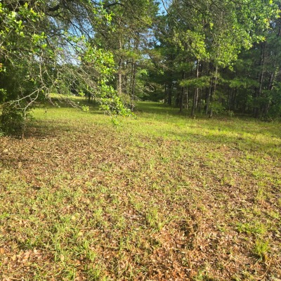 Clear producible and vital area for growth. Ready for renting.