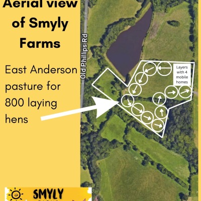 Smyly Farms 