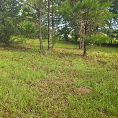 Clear producible and vital area for growth. Ready for renting.
